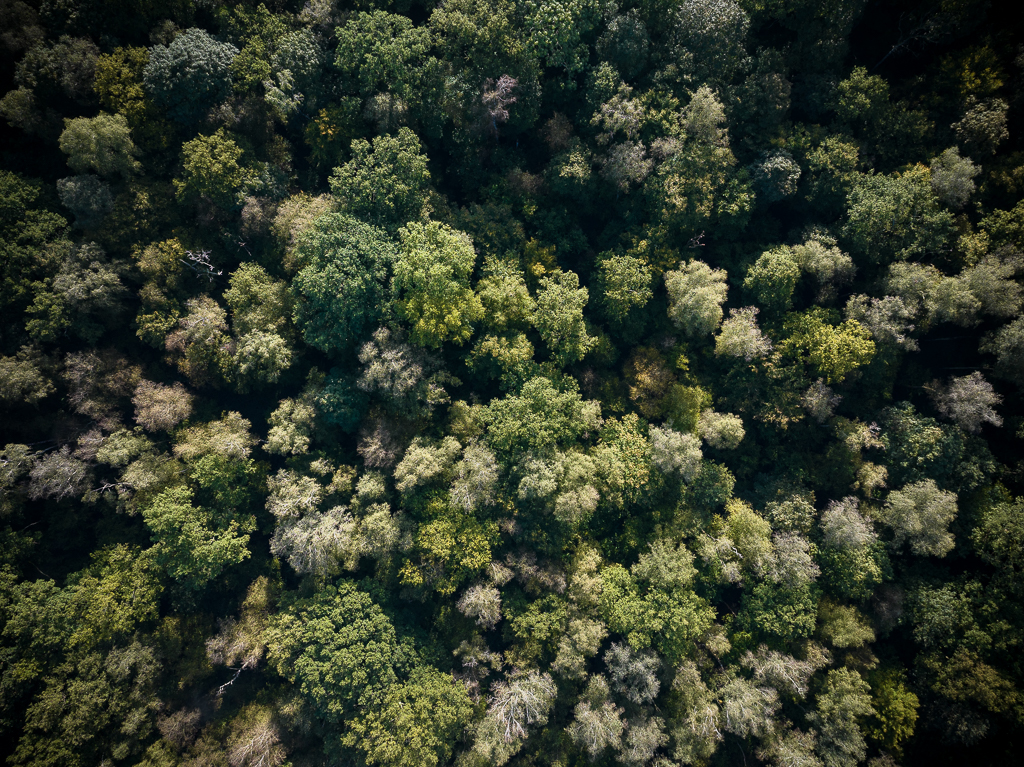 DJI_20241002100053_0036_D_3